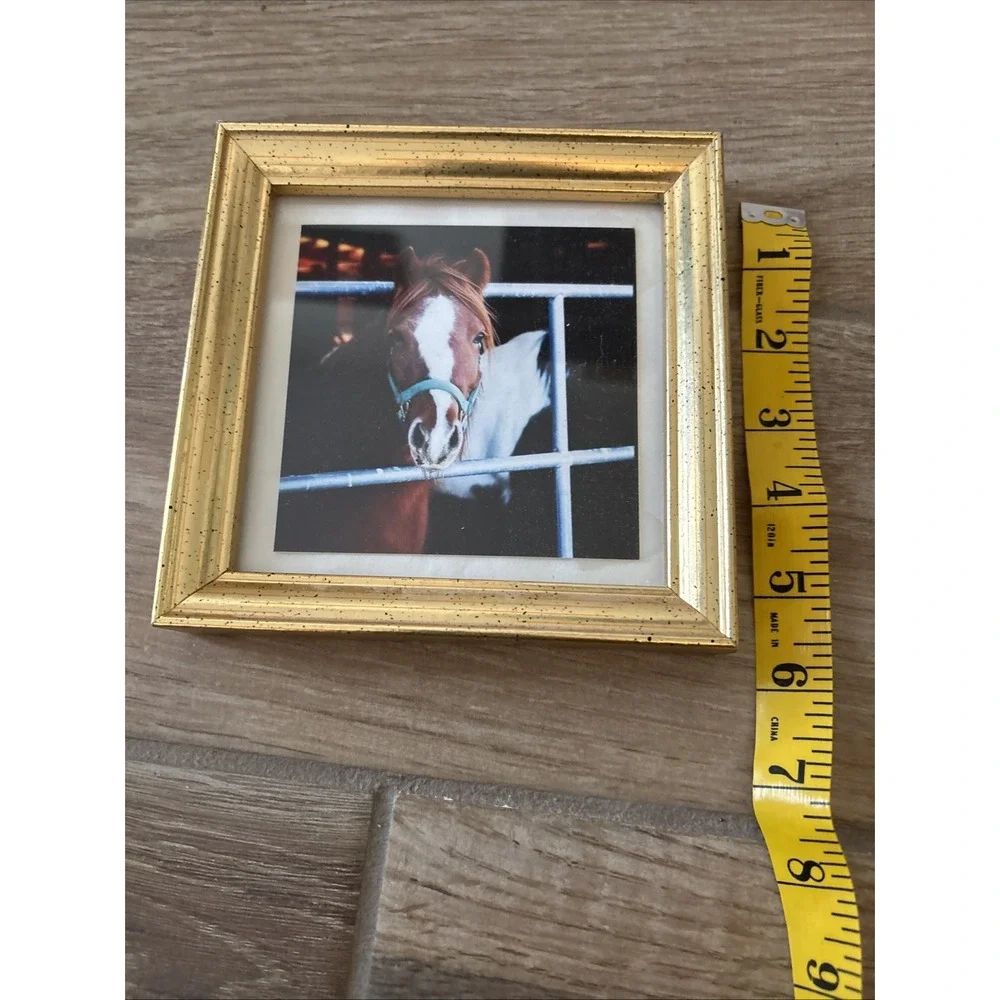 Picture‎ Frame with Horse picture Design 6
